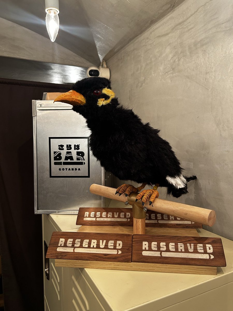 saraba_bar's tweet photo. 「さらばBAR」に九官鳥が舞い降りて来ました。九官鳥と共に皆さまのご来店を心よりお待ち申し上げております。

#さらばBAR
#さらば九官鳥 https://t.co/m2KHnj5qDH