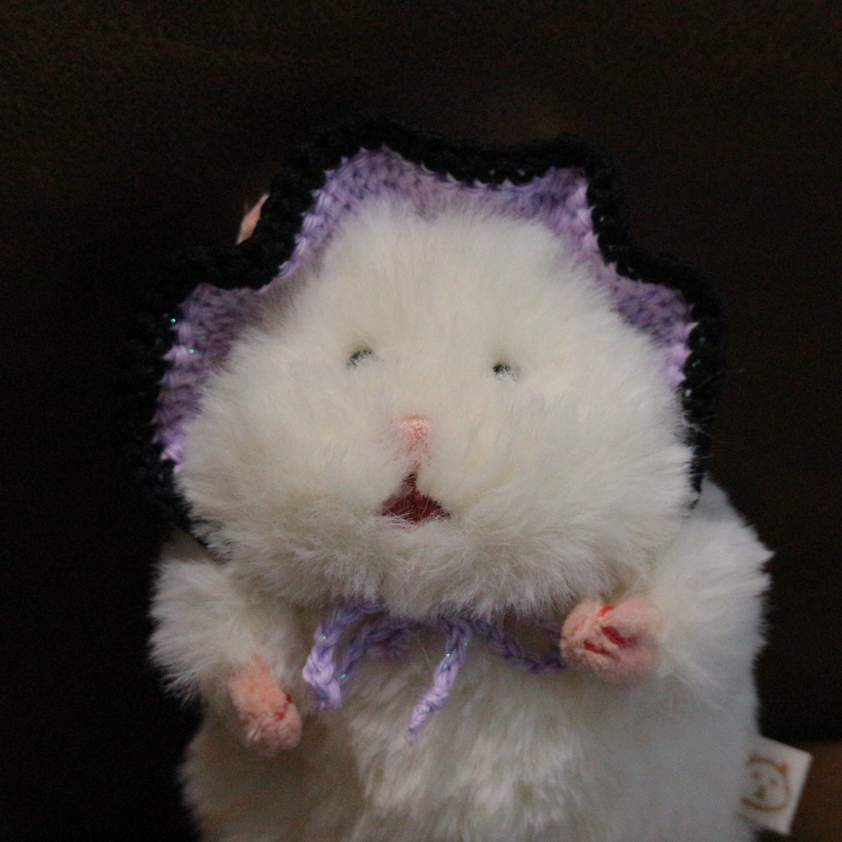 chacha_sea's tweet photo. 今日はイチョウとハロウィンイメージで2つボンネット編んだ💛💜🖤

モデル(ばたー)が良すぎて全部可愛いらぶ https://t.co/gkNt0PRA6i