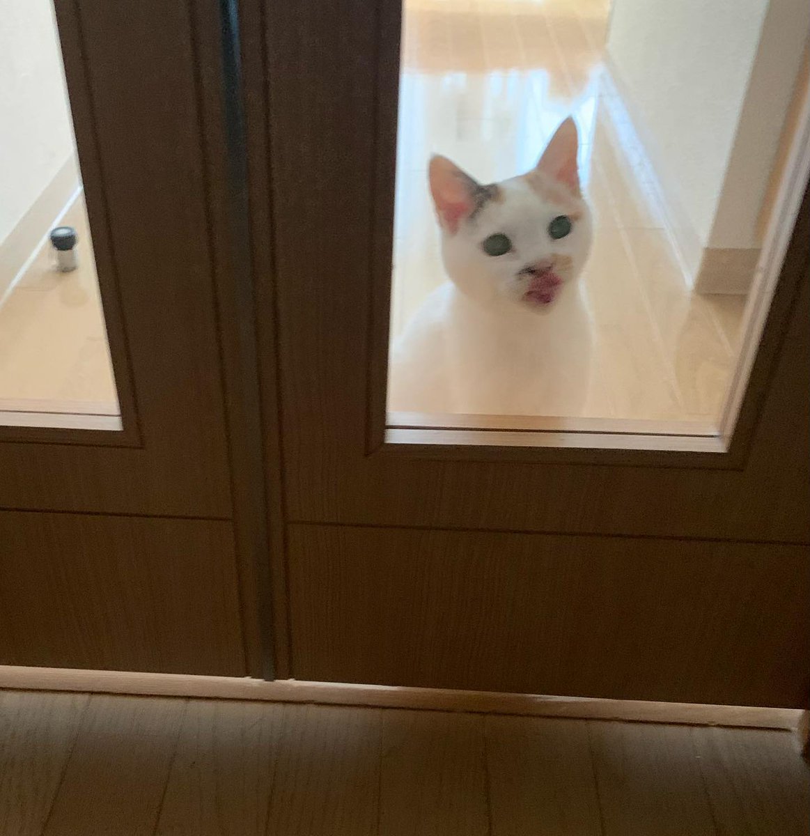 YuonneChrisets's tweet photo. 境界線があるだけで、期待と諦めはこれほどまでに色分けされるのか。脆い。 https://t.co/gkR2bKS1T6