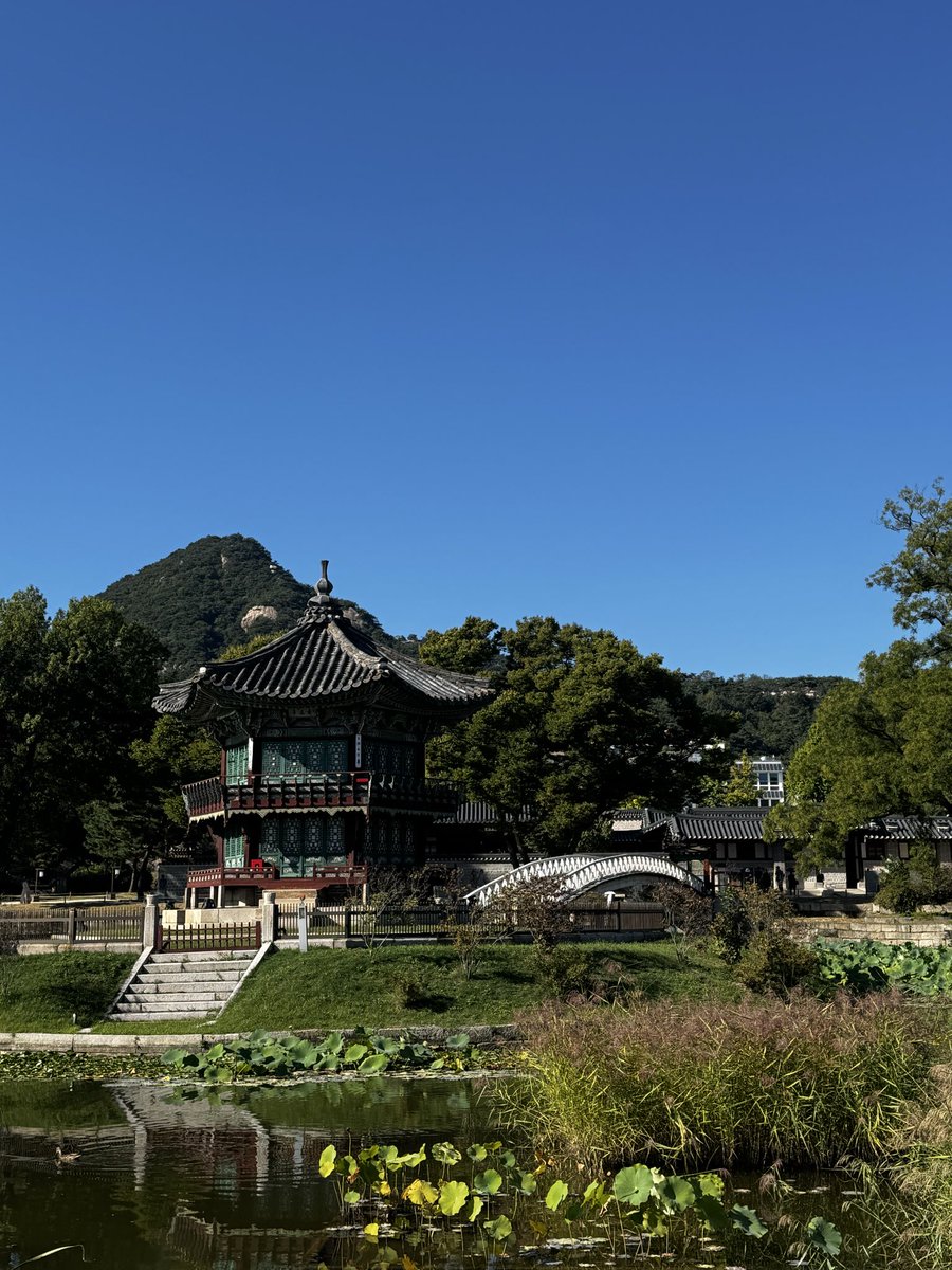 lotus0401's tweet photo. https://t.co/i4EN6wNTMG