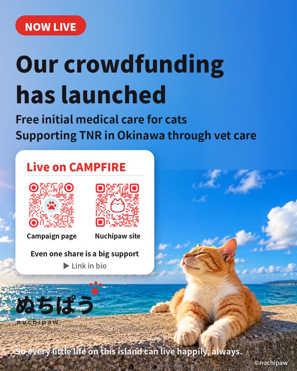 nuchipaw's tweet photo. 【クラファン公開中】
沖縄の野良猫・地域猫のTNRと、保護猫の初期医療を無料で支える「ぬちぱう」。
猫から、人へ、地域へ、自然へ。
小さな支援がめぐり、次の命へつながる「命の循環」をつくっていきます。
ご支援・シェアをよろしくお願いします🐾
https://t.co/GKrT1AwrLB
#TNR #保護猫 #沖縄 https://t.co/LZTqfuZKd1