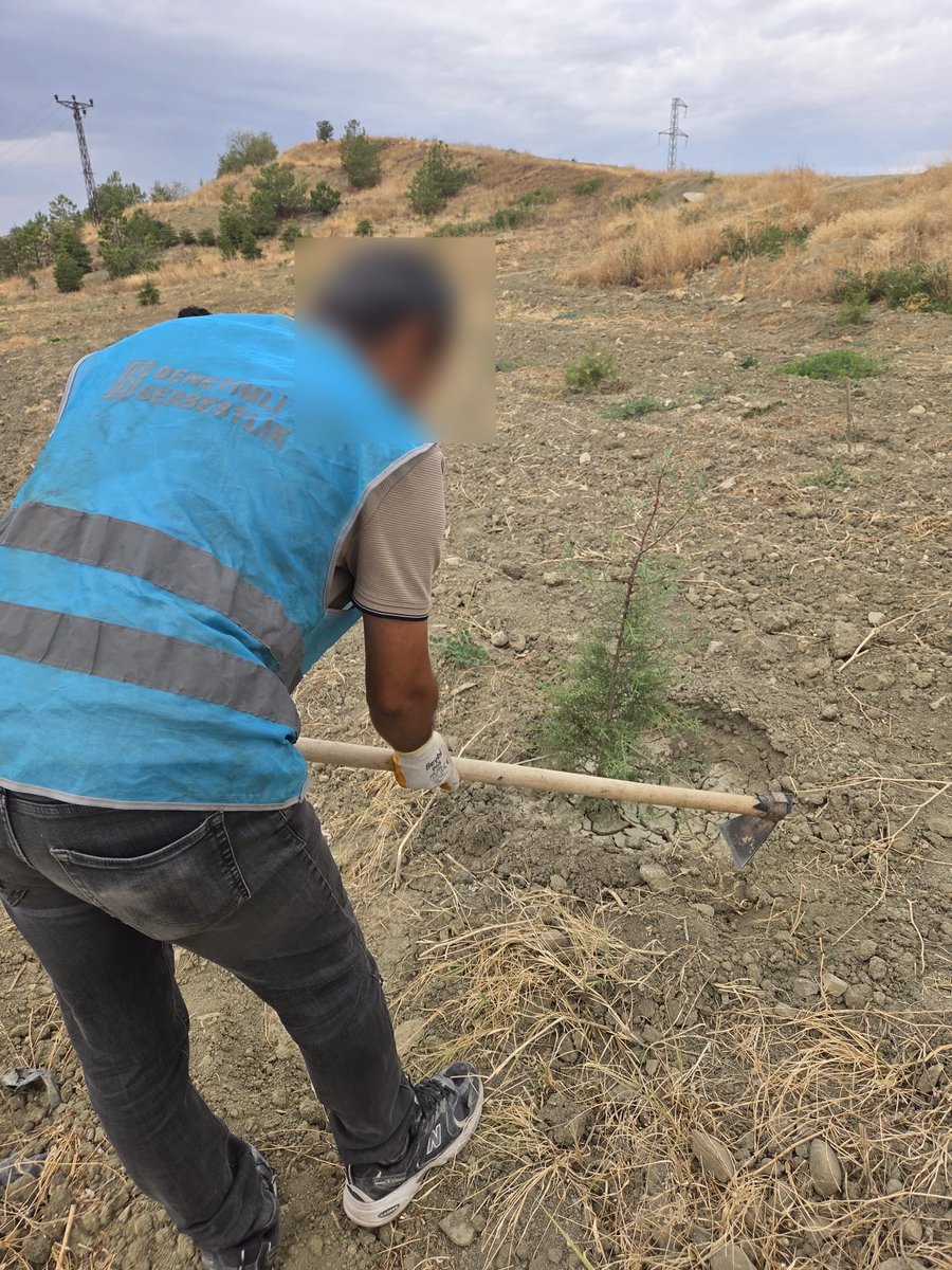 KirikkaleDSM's tweet photo. 🌳 Denetimli serbestlik yükümlülerimiz tarafından, Kırıkkale Üniversitesi yerleşkesinde Şehit Cumhuriyet Savcısı Mehmet Selim KİRAZ anısına oluşturulan Hatıra Ormanında bakım ve çevre düzenleme çalışması gerçekleştirildi. https://t.co/ZZCdcFRpPh
