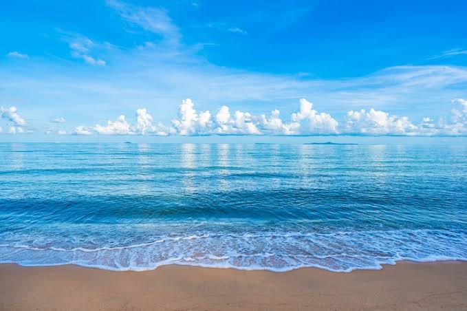 merveekg's tweet photo. Marine plants, like phytoplankton, produce more than 50% of the Earth's oxygen! Every second breath you take comes straight from the ocean. https://t.co/eVHKoqHPvK