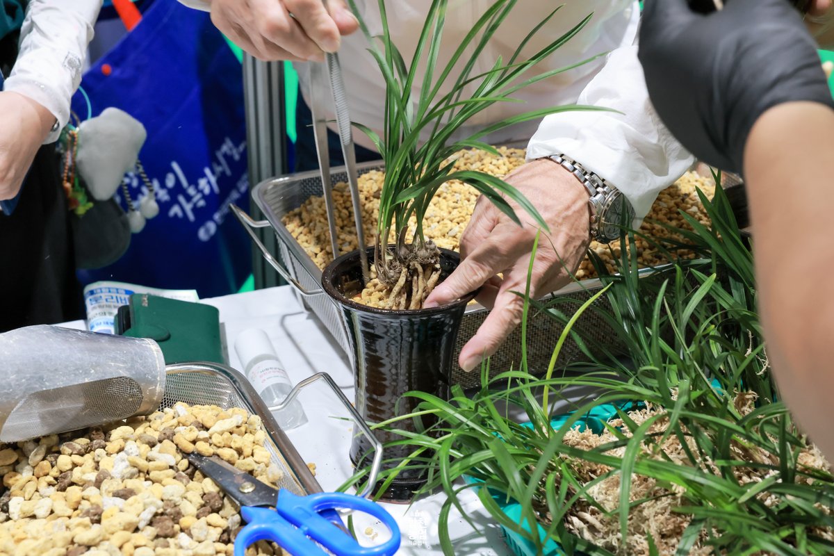 hc_agri_tech's tweet photo. 🌱 일상에 작은 초록을 더해요!

제13회 합천군 주민서비스 박람회에서
나만의 반려식물을 직접 심어보는 체험부스가 운영됐습니다.

아기자기한 반려식물부터 은은한 매력의 합천춘란까지!
보고, 만지고, 심으며 초록빛 즐거움을 함께 나눴습니다. 😊

#합천군 #반려식물 #합천춘란 https://t.co/wr1f0zLHBe