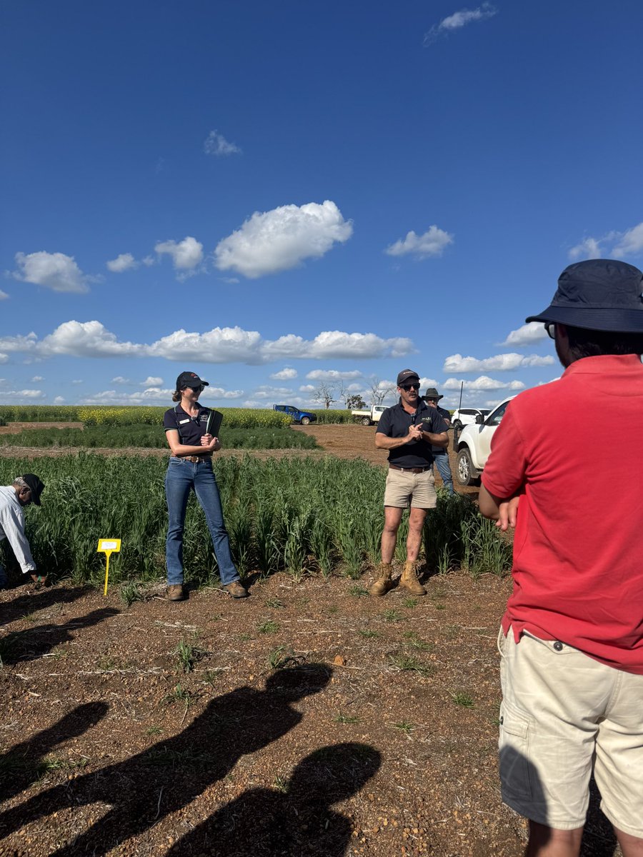 DirtSouthern's tweet photo. How much N is enough – and are we getting a return? 🌾💰
Anne Wilson from SCF taking us through Year Two of the NUE in the HRZ trial, with grower perspective from trial host Courtney Piesse.
#SouthernDirt #NUE #Nitrogen #HRZ https://t.co/g15YzFbF2F