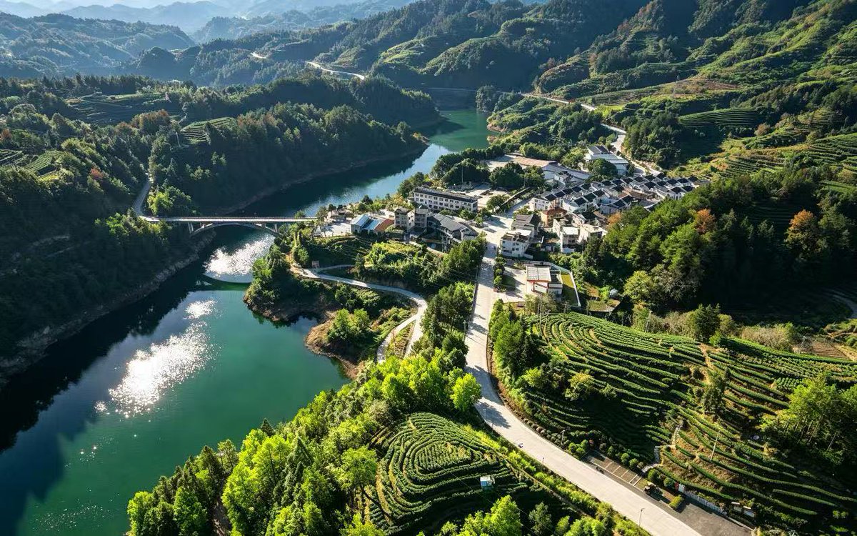 HolaFujian's tweet photo. Discover Shouning in August 🌿☀️
Take in the refreshing summer scenery and beautiful landscapes of Shouning, Ningde, Fujian. A perfect glimpse of August in the mountains. 💚 #Shouning #Ningde #Fujian #FujianTravel #SummerInChina #ScenicChina #BeautifulChina #DiscoverChina #ChinaTravel #NatureLovers #MountainScenery #CountrysideChina #ExploreFujian #TravelChina #AugustVibes @EmbSuarezSalvia @ZhongBai2020
@China_Lyon @ChineseCon_Mel @ChinaEmbajada @zhang_heqing @ZuoZhangChina @yuexuankanyue1 @cultureCHN @TripInChina
