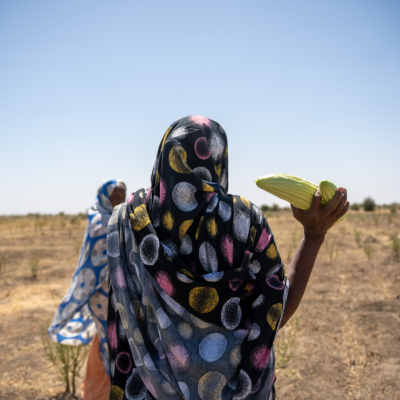 NRC_EAY's tweet photo. We are helping farmers in #WhiteNile, #Sudan, improve their skills, access seeds &amp; tools to grow more food.
In 2026, we trained 775 people from Rabak, White Nile &amp; 750+ received farming support.
“We learned new ways of farming &amp; our harvest improved.” - Fatima.
Thanks to @Sida. https://t.co/fJR3Lx4Cy2