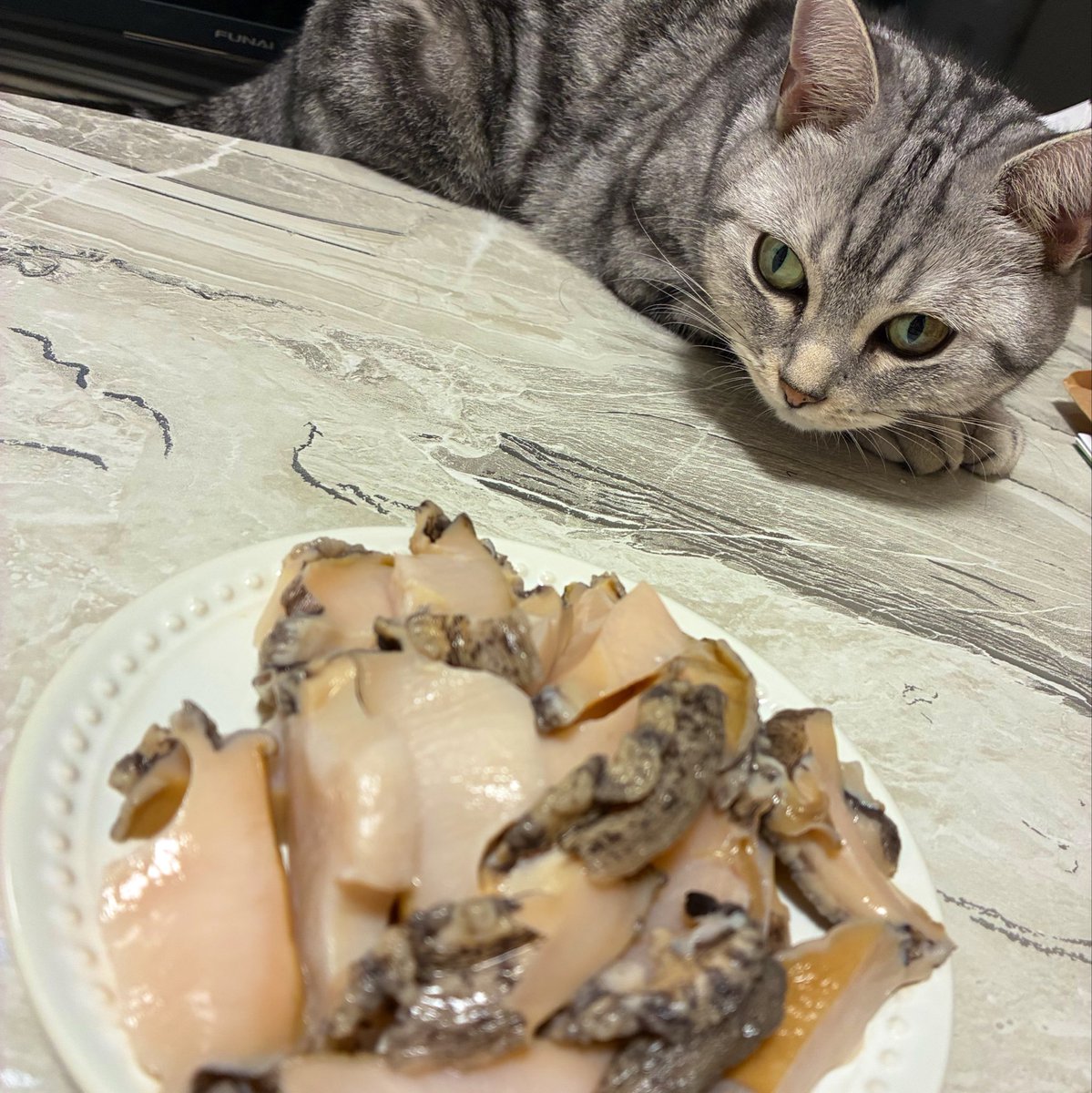 amesowner's tweet photo. 山盛り鮑、興味ありますかね？ https://t.co/klow5f7LWP