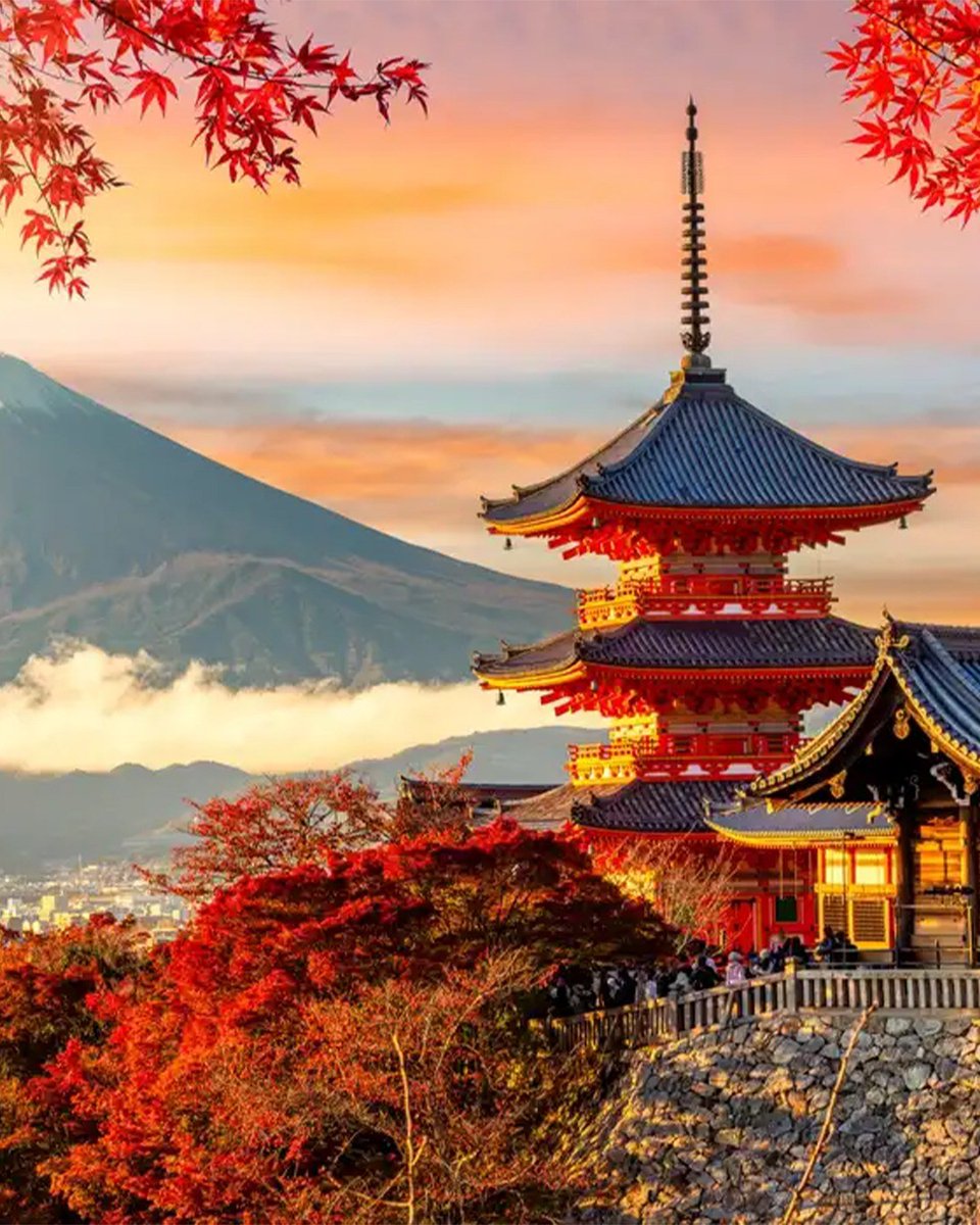 RozellaEnriguez's tweet photo. Experience Japan's Most Beautiful Season. 🇯🇵✨
Discover the breathtaking beauty of Japan as vibrant autumn colours transform its iconic landscapes into a spectacular masterpiece. From the bustling streets of Tokyo and the timeless temples of Kyoto https://t.co/mJcq63ygo8