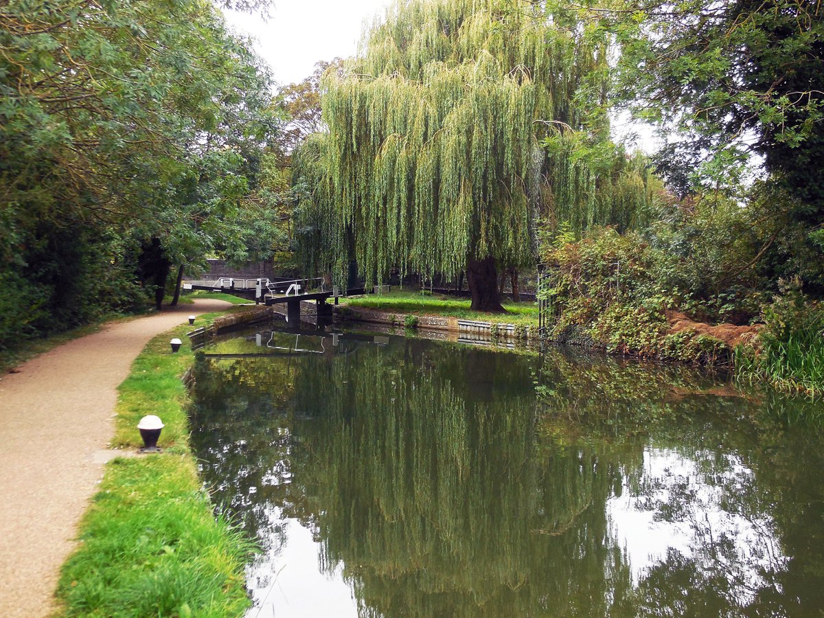 retired_tom's tweet photo. My photos from #September 2019
@CanalRiverTrust #GrandUnionCanal #AylesburyArm #AylesburyBasin #Lock #Bridge #Narrowboat #Reflections #SpiderWeb
#Canals & #Waterways can provide #Peace & #calm for your own #Wellbeing #Lifesbetterbywater #KeepCanalsAlive https://t.co/kCHaeqMlyF