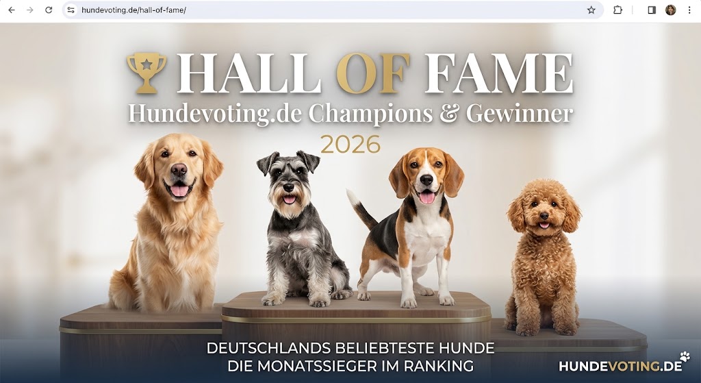 Hundevoting's tweet photo. 📷 Hat dein Hund das Zeug zum nächsten Champion? 📷
Möchtest du deinen eigenen Liebling in unserer Hall of Fame sehen? Die Teilnahme ist natürlich vollkommen kostenlos und super einfach:
https://t.co/tEpBMunGhs
#hundevoting #hundeliebe #wettbewerb #vierbeiner #hundewelt https://t.co/avpkaJipPg