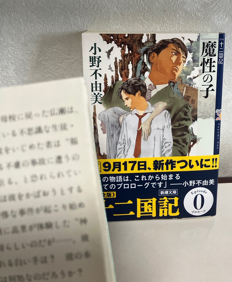 tamago_12kngdms's tweet photo. 『魔性の子』(平成)、『魔性の子』(令和)だよ

『魔性の子』(令和)、『魔性の子』(平成)だよ

（公式ポストで感情がおかしくなってしまい2冊目を買ってきた） https://t.co/jll3JDHnOj