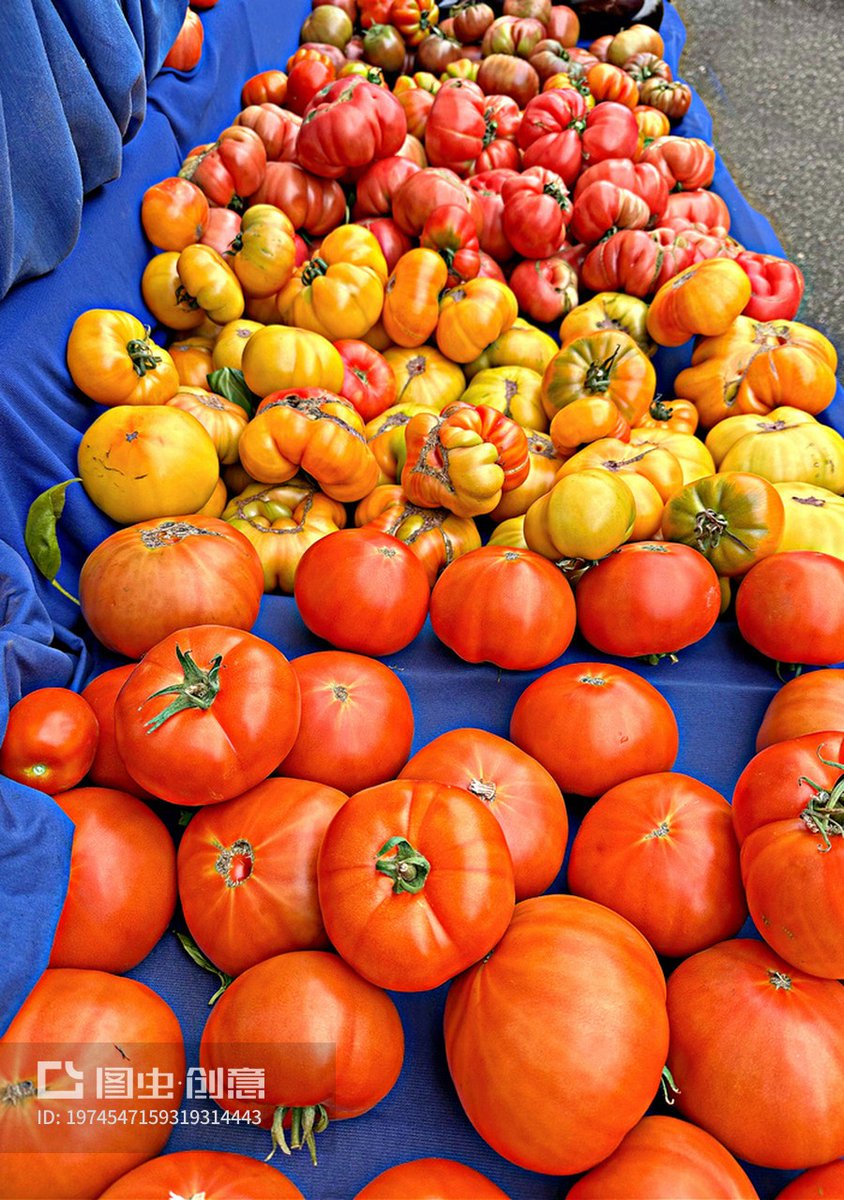 RoyRossf2cf's tweet photo. Just grabbed the freshest heirloom tomatoes, crisp asparagus and wild mushrooms from the local farmers’ market—perfect for tonight’s healthy farm-to-table dinner! https://t.co/gJHbD4cBFQ
