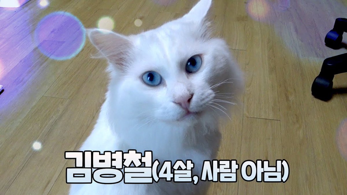 Rang_re__'s tweet photo. https://t.co/ekvymdqNYN