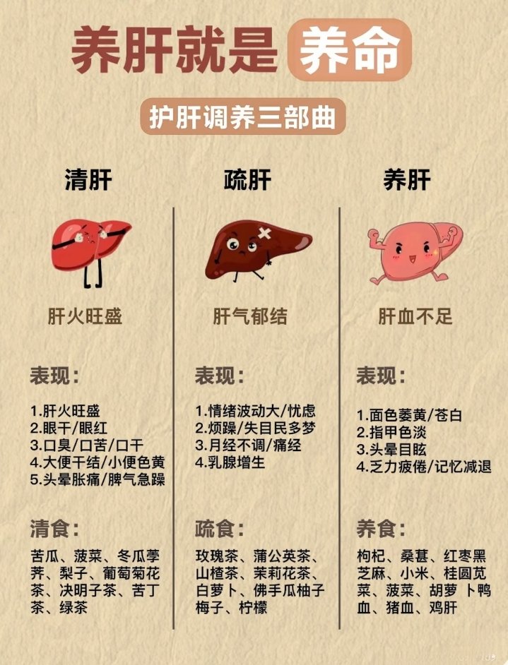 summer7232001's tweet photo. 养肝就是养命 | 护肝调养三部曲 https://t.co/faRT2Fk2v6