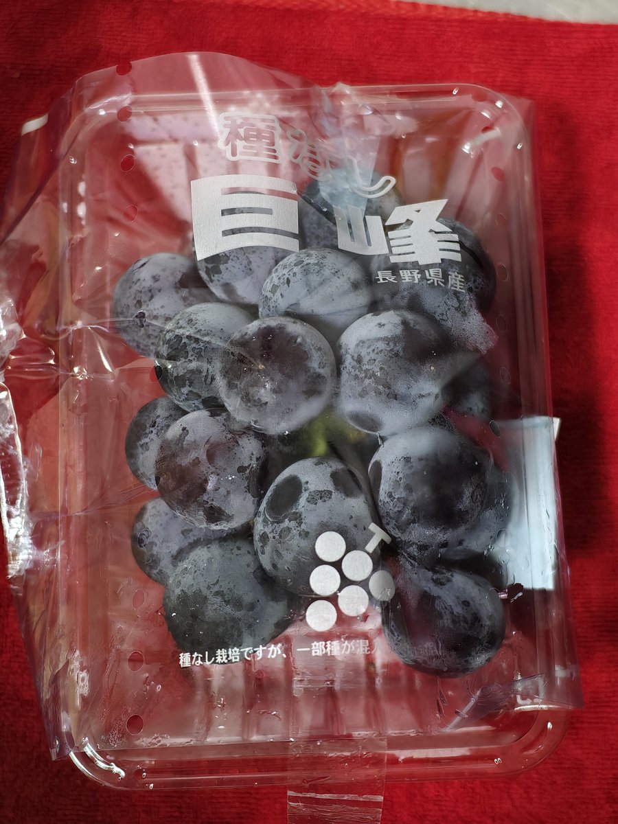Oliveolivem's tweet photo. Today's fruit is Nagano Kyoho grapes from Japan, great quality. https://t.co/SsGM79P1zH