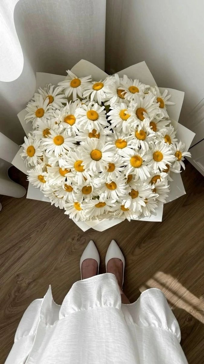 FLOWERS3700's tweet photo. https://t.co/ZdpQjt7kHe
