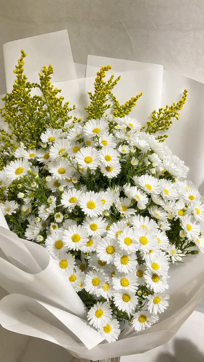FLOWERS3700's tweet photo. https://t.co/ZdpQjt7kHe