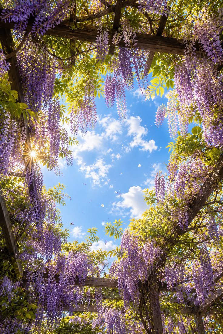 FLOWERS3700 tweet picture