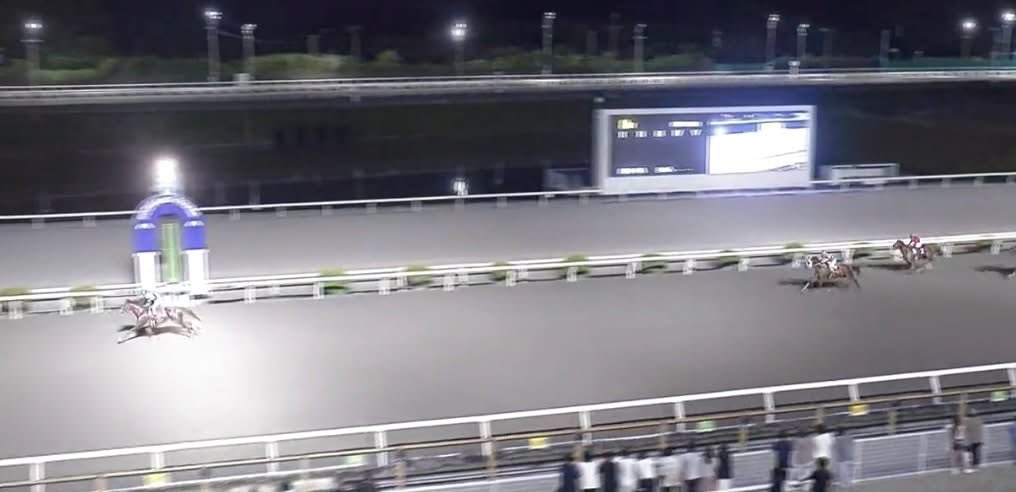 motoo_yamanaka's tweet photo. プレシャスメノウが2連勝！
9月13日高知8Rをカルディアレーシングのプレシャスメノウが逃げ切り勝ち！
夏休みを挟んで2連勝となりました。
田中守調教師、赤岡修次騎手はじめ関係者の皆さまありがとうございます。
3歳最後の重賞に出走できると良いですね！ https://t.co/k4jYZy4GC0