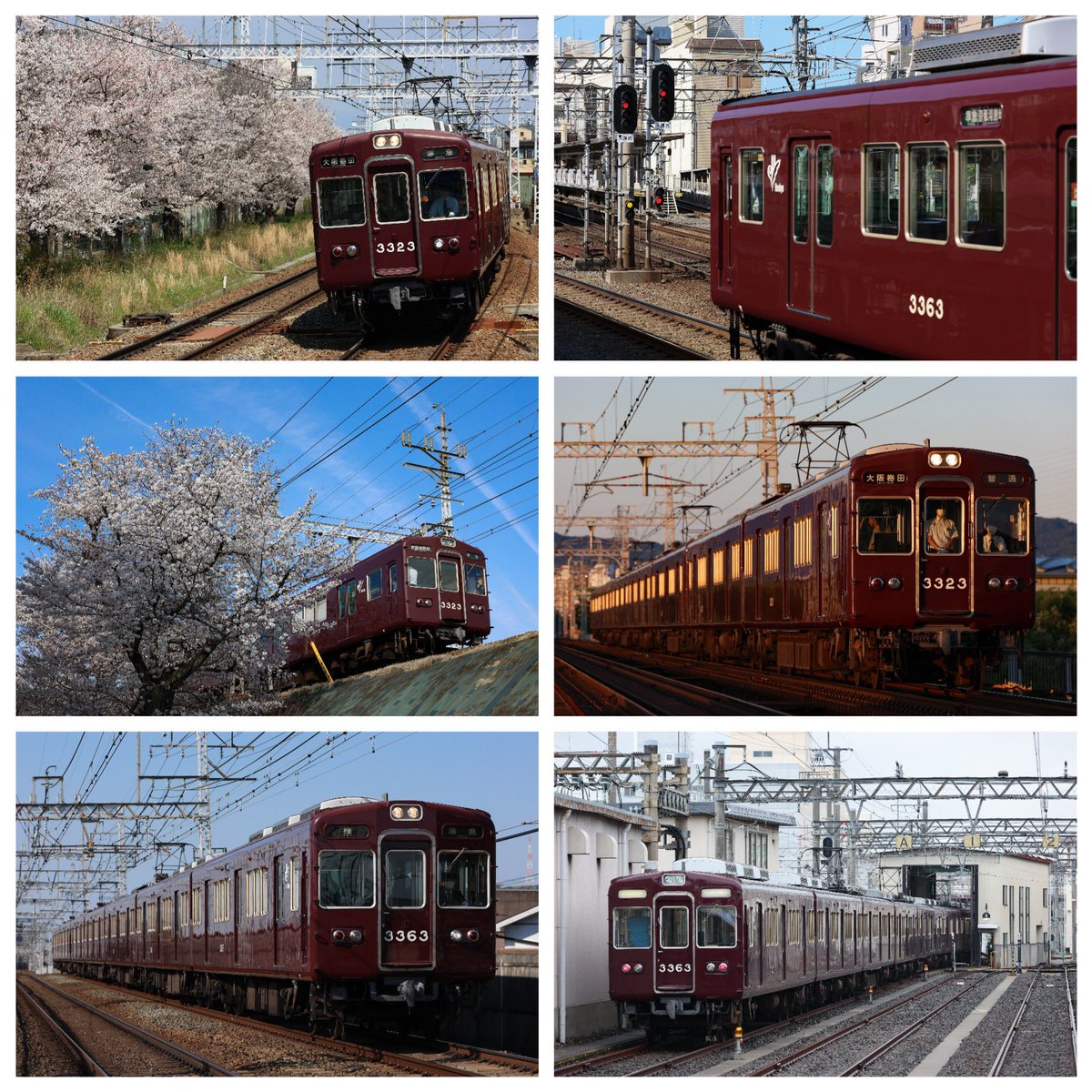tonkatsu_33_23's tweet photo. 2/27に脱車作業を行い、9/16までの202日間、7連で走行しました。
長い7連期間が終了し、寂しさが来ると同時に8連が戻ってくるという喜びもあります。
3323×7Rありがとう。そして3323×8R最後までよろしくお願いします！

※フォトアプリ使ったら少し文字が潰れてしまいました。AIは一切使用してません。 https://t.co/cOgMV3V6RA