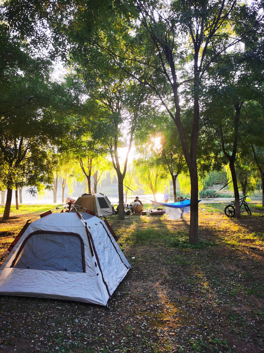 honem366596's tweet photo. Woke up to birdsong and sun filtering through pine trees—this camp spot is pure magic, no plans needed just good vibes! https://t.co/53amcH8mwt