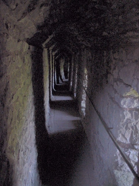 CastlesBritain's tweet photo. I walked beneath Carmarthenshire’s Carreg Cennen Castle into a natural cave

I came to Carreg Cennen Castle in Carmarthenshire expecting the clifftop ruin to be the whole experience. Then I turned into the south-east corner and found steep stone steps dropping below the inner ward into a narrow passage and a natural limestone cave beneath the castle.

I followed the rail as the window light faded, and that one detour changed the place for me. The castle stopped feeling like something simply built on a hill; it felt shaped around the rock itself.

I had to share this strange little descent because it is the detail I would remember long after the views. Hope you’re having a lovely day.