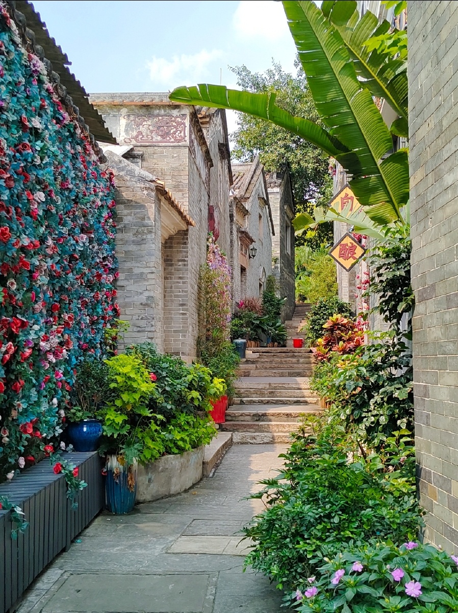 DennisKecker's tweet photo. Just stumbled on this sun-dappled old alley lined with potted plants—perfect little urban escape in the busy city. https://t.co/w3CJQdkb1r