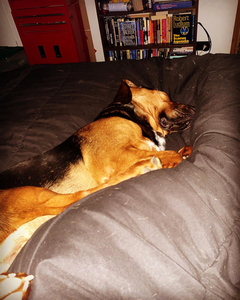 TessaJarrells's tweet photo. My personal heater https://t.co/3MUaflGsVn