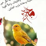 Photo by ابوطلال العباسي⚬ (@Al9Bu)