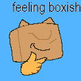 BOXYboxcat tweet picture