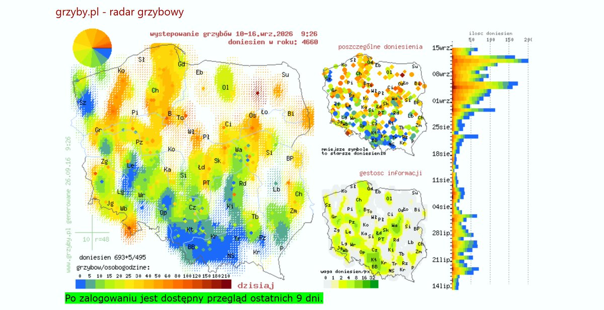CKeruac's tweet photo. Czy da się przewidzieć wysyp grzybów samą matematyką? 
Model bazowy TimesFM-3.0 analizujący 14-dniowe opady, wilgotność i noce dla każdego powiatu w Polsce.
Efekt? Wygenerowana mapa szans pokryła się niemal 1:1 z realnymi doniesieniami z lasów na https://t.co/WTJnOLrtEO
1/2 https://t.co/cZvAuvuKXT