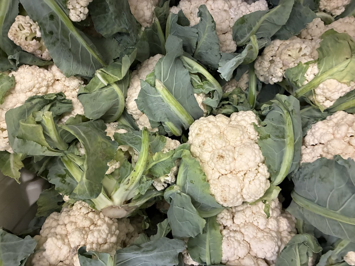 ESilverSprCSL's tweet photo. ESS is excited to team up with Educare Support Services to bring healthy groceries to our families: chicken, eggs, crisp fruit, vibrant veggies, &amp; essential non-perishables will keep our Pandas thriving. @CSconnect_MCPS @csspecialist80 @MCPS https://t.co/YwZRMAjxKO
