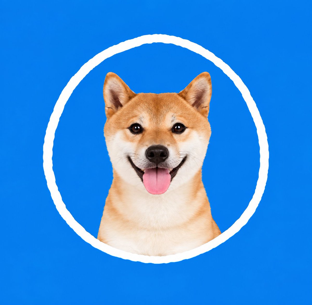 DogInCircle's tweet photo. And for all you complaining about me slipping get off my $DIC https://t.co/Ct4rt276zY