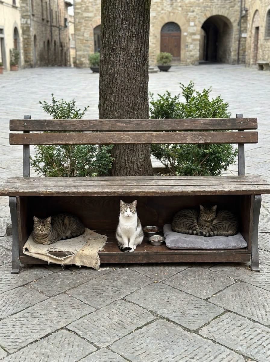 anemlon's tweet photo. In mehreren italienischen Städten werden öffentliche Sitzbänke inzwischen so umgestaltet, dass sich unter ihnen kleine geschützte Plätze für Straßenkatzen befinden. Dort finden die Tiere Schutz vor Kälte, Regen und anderen Gefahren, ohne aus der Umgebung verdrängt zu werden, die sie kennen und in der sie sich orientieren.
Diese kleinen Rückzugsorte sind oft mit weichen Unterlagen und Futternäpfen ausgestattet, sodass ausgesetzte oder herrenlose Katzen einen sicheren Platz zum Ausruhen bekommen. Gerade für Tiere, die tagtäglich draußen überleben müssen, kann so ein einfacher Unterschlupf einen großen Unterschied machen.
Das Besondere an diesem Projekt ist, dass es zeigt, wie gut Stadtgestaltung und Mitgefühl zusammenpassen können. Mit kleinen, durchdachten Veränderungen werden gewöhnliche öffentliche Plätze plötzlich zu wertvollen Schutzräumen für Tiere, die sonst oft übersehen werden.
Manchmal braucht es keine großen Bauprojekte, um Leben zu verbessern. Manchmal reicht eine einfache Bank – und die Idee, dass unter ihr nicht nur Menschen, sondern auch Tiere ein wenig Sicherheit finden können.