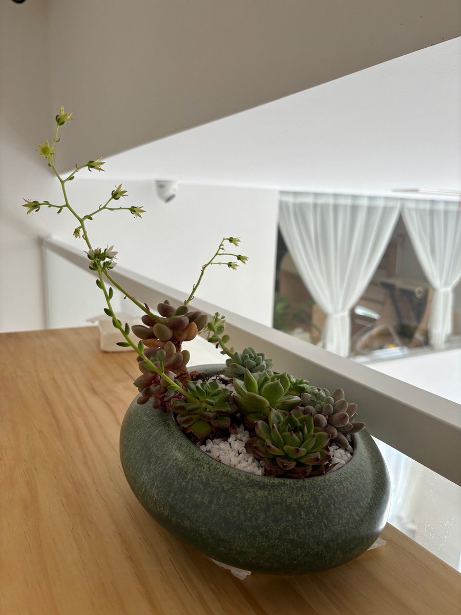 corrinnad's tweet photo. Just finished this cute upcycled mason jar planter—perfect for my windowsill succulents!  Took 1 hour, zero fancy tools, total vibe upgrade. Who’s up for a DIY craft tonight https://t.co/DoPFRS4eht