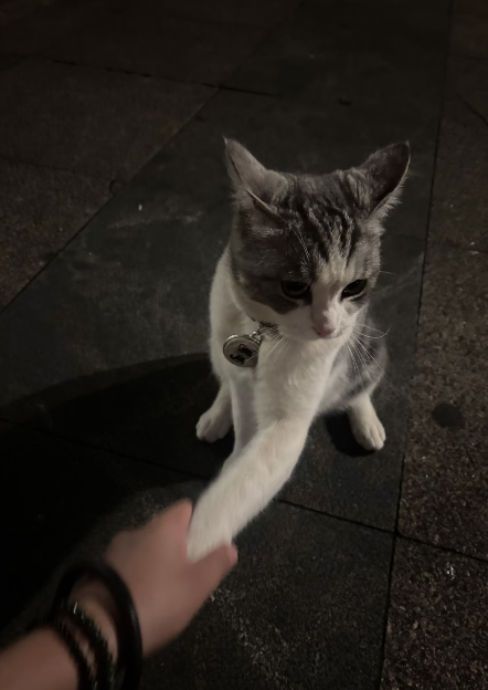 OSabatini_'s tweet photo. 女生之间的情感很奇妙的，有时候就是会有一种感应，从刚认识你就知道你们俩注定就会成为很好的朋友。 #赣州  #女大  #反差 https://t.co/LDLmGOiP5i