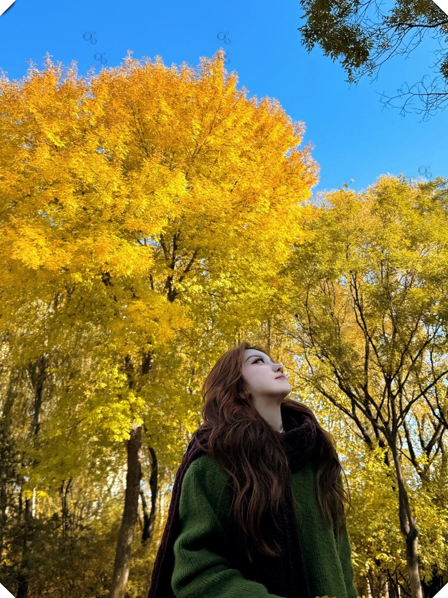IvanaMonteiro10's tweet photo. The first golden autumn breeze is here—crisp air, warm sunshine, and perfect weather for a walk with a coffee. Fall vibes have officially arrived! https://t.co/uWZBY9Kikc