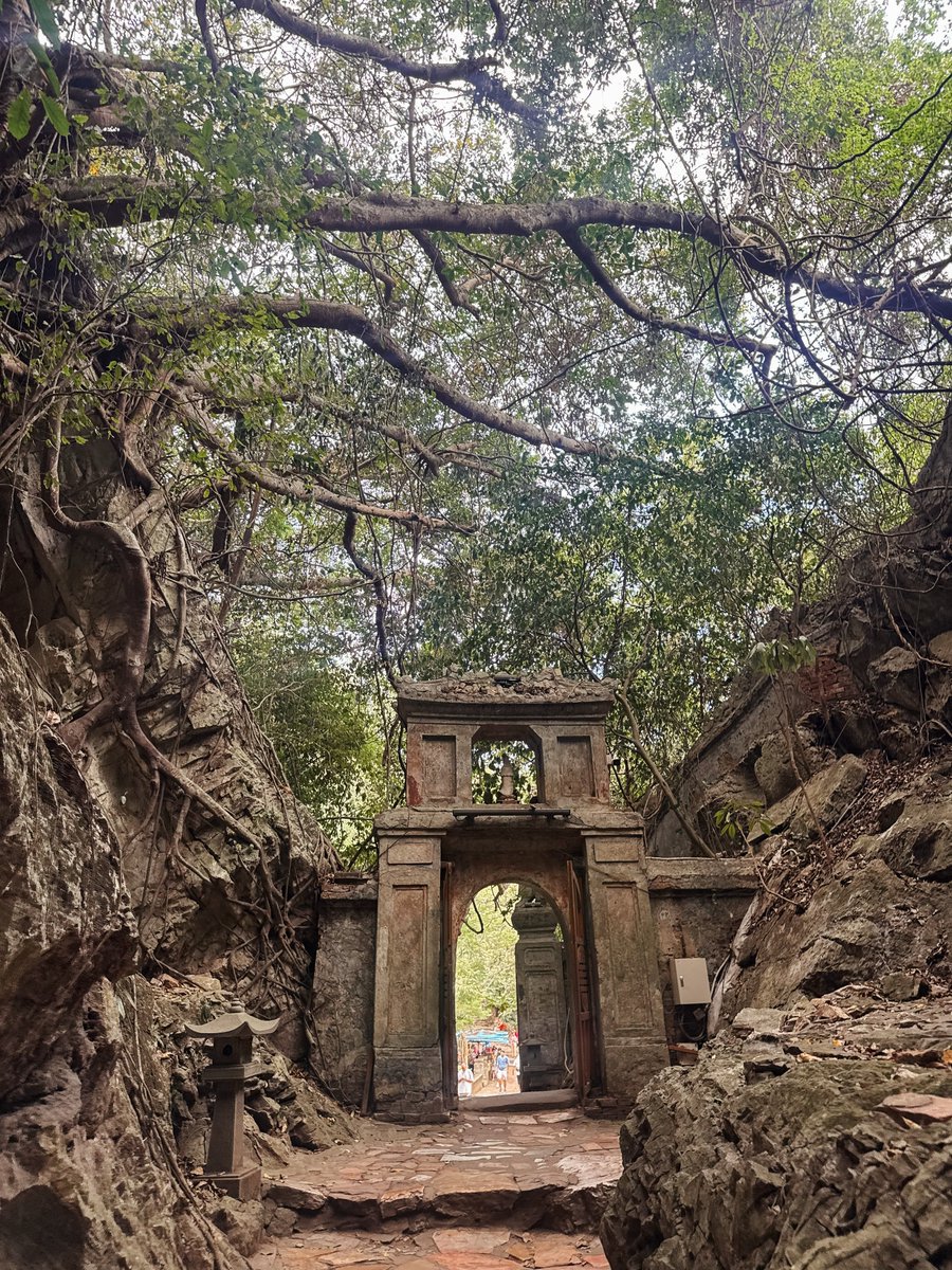 DespinaSolft's tweet photo. Cinephilic trip is when you wake up with “Goooood morning Vietnaaaam” in your head every single day, hearing Coppola’s Valkyries when you see these landscapes and having “Sir, yes, sir” when UAZ passes by because Kubrick’s “Full metal jacket” is a https://t.co/1hl3k5HcHY