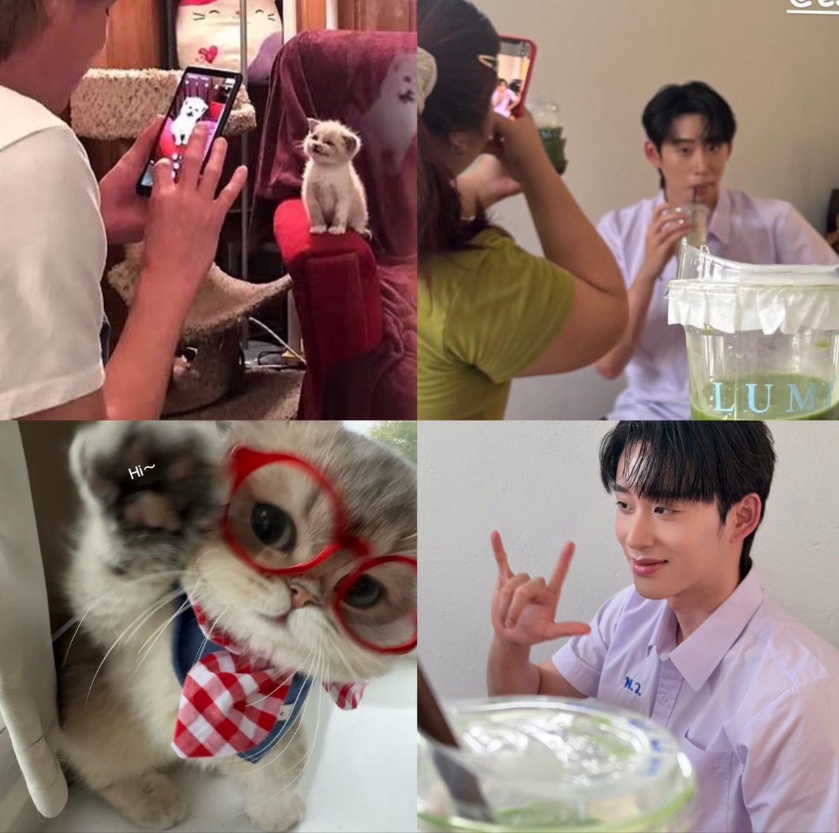 sthibtw_'s tweet photo. หนูก็เลี้ยงทุกคนน่ะซี่😻🍵🤟🏻

#SurfNLoveQ2
 #est_rvp https://t.co/ynIE6FBbSf