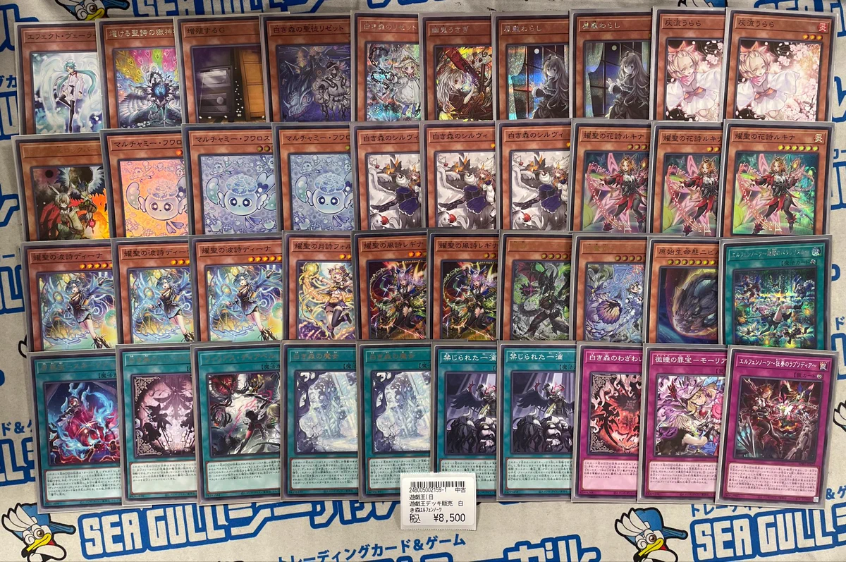 シーガル泉中央店 on X: 