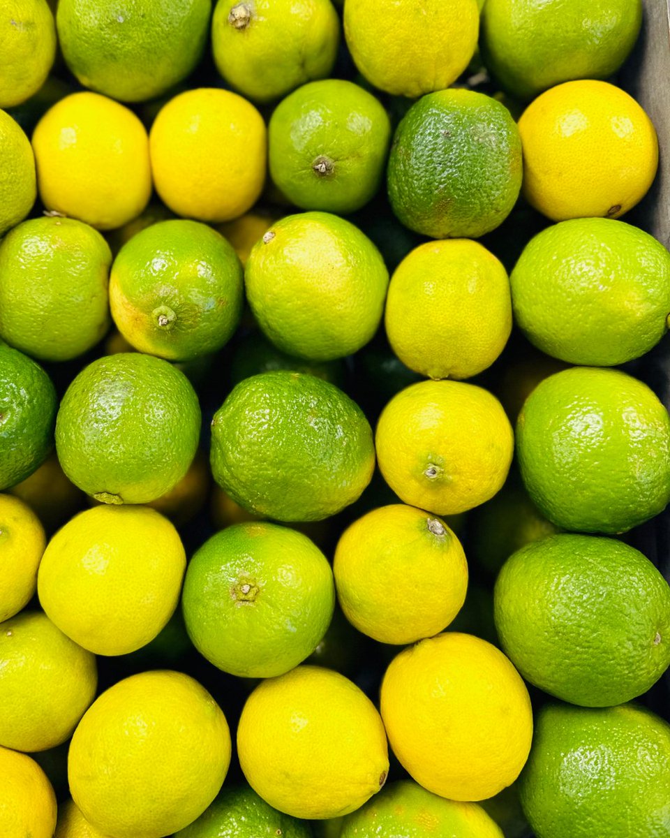 haywards1990's tweet photo. A kitchen staple! 🍋‍🟩🍋‍🟩

Fresh limes are such a versatile ingredient, perfect for adding a zingy kick to both sweet and savoury dishes. From curries, marinades and salads to cheesecakes, desserts &amp; drinks! #Limes #FreshProduce #FarmshopFinds #KeepingItLocal #HaywardsFarmshop https://t.co/JcgK2DCy2R