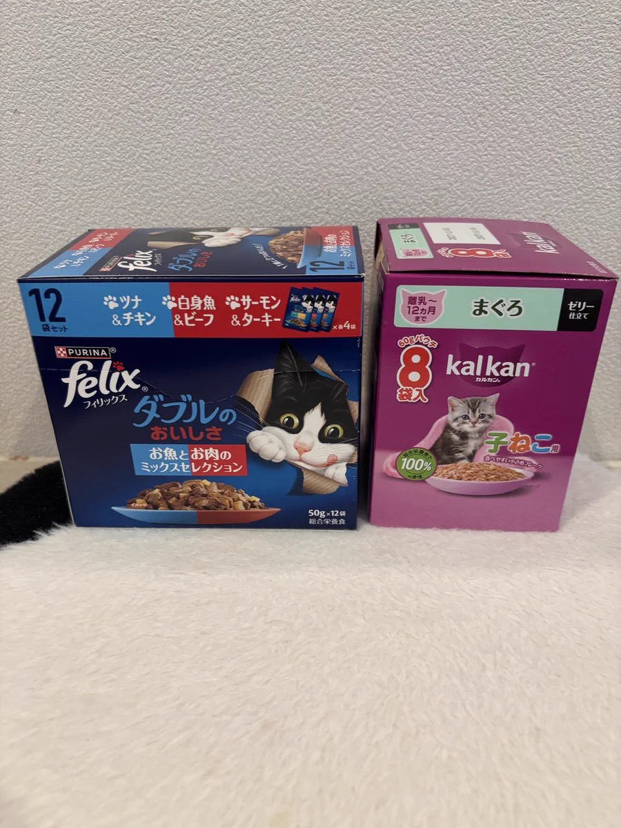 関東3店】譲渡型猫カフェ にゃんくる on X: 