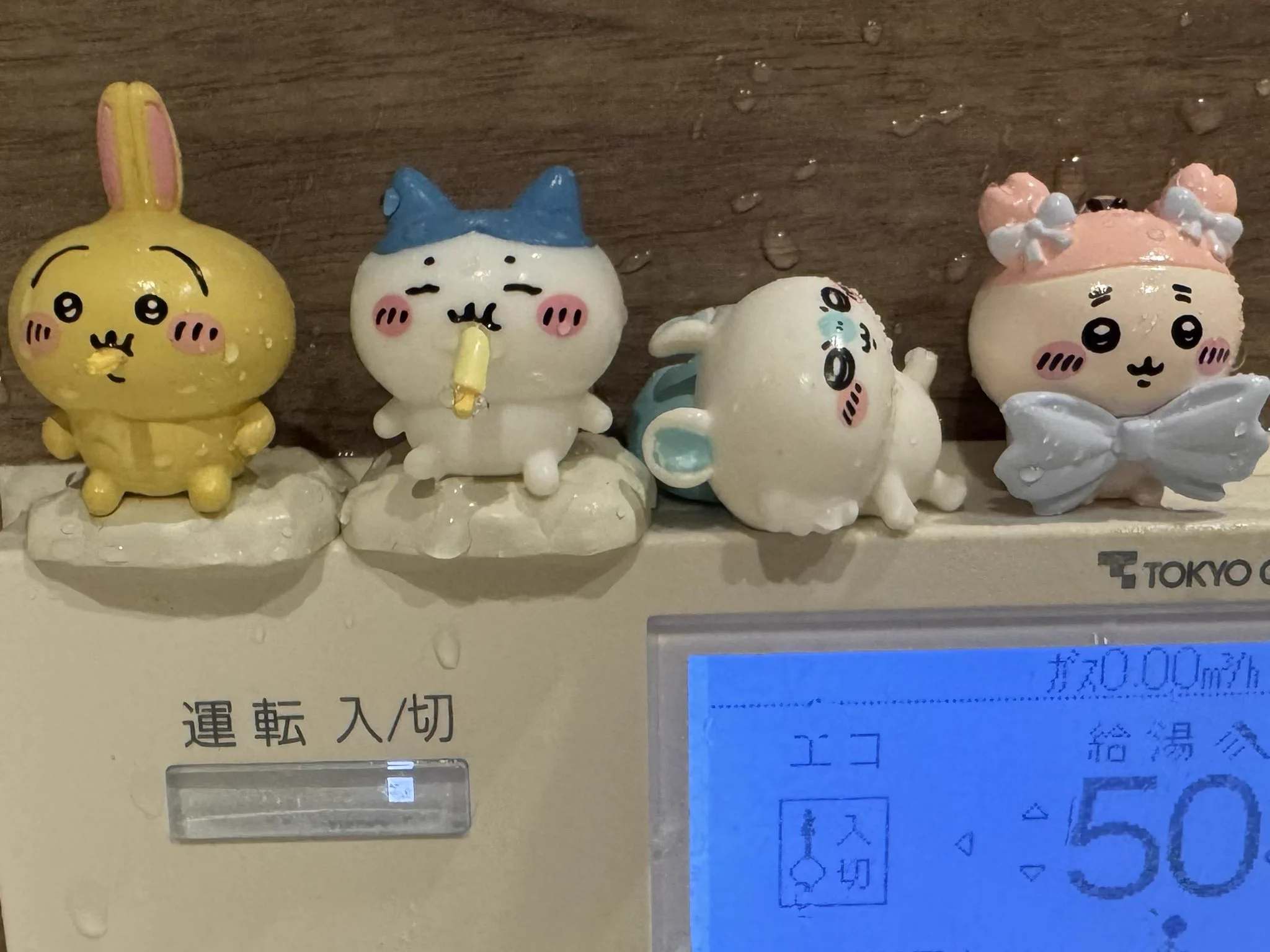 あやらん (綾永らん) on X: 