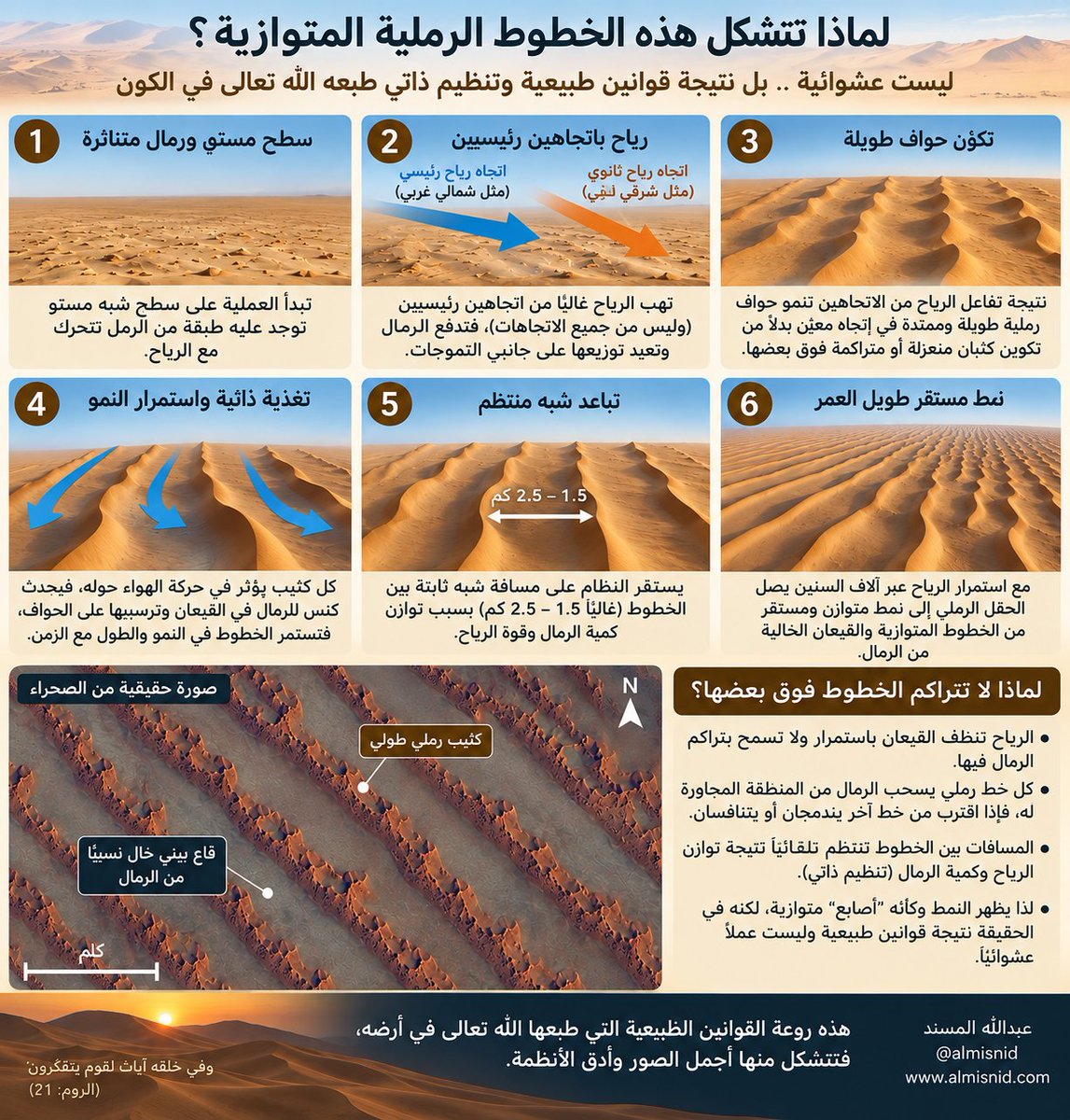 ALMISNID's tweet photo. 🌬️ مشهد رباني مدهش من تنظيم الرمال في صحراء #الربع_الخالي؛ خطوط كثبان رملية متوازية تفصل بينها قيعان شبه خالية من الرمال، وكأنها رُسمت بعناية.

والحقيقة أن #الرياح المتكررة عبر آلاف السنين تعيد توزيع الرمال؛ فتتراكم على هيئة كثبان طولية، بينما تُكنس الممرات الواقعة بينها باستمرار، خاصة إذا كان سطحها أكثر صلابة.

ومع #الزمن ينشأ نمط شبه منتظم نتيجة تفاعل اتجاه الرياح وكمية الرمال وطبيعة السطح.

إنها من روعة القوانين الطبيعية التي طبّعها الله تعالى في خلقه .. هذا والله أعلم.