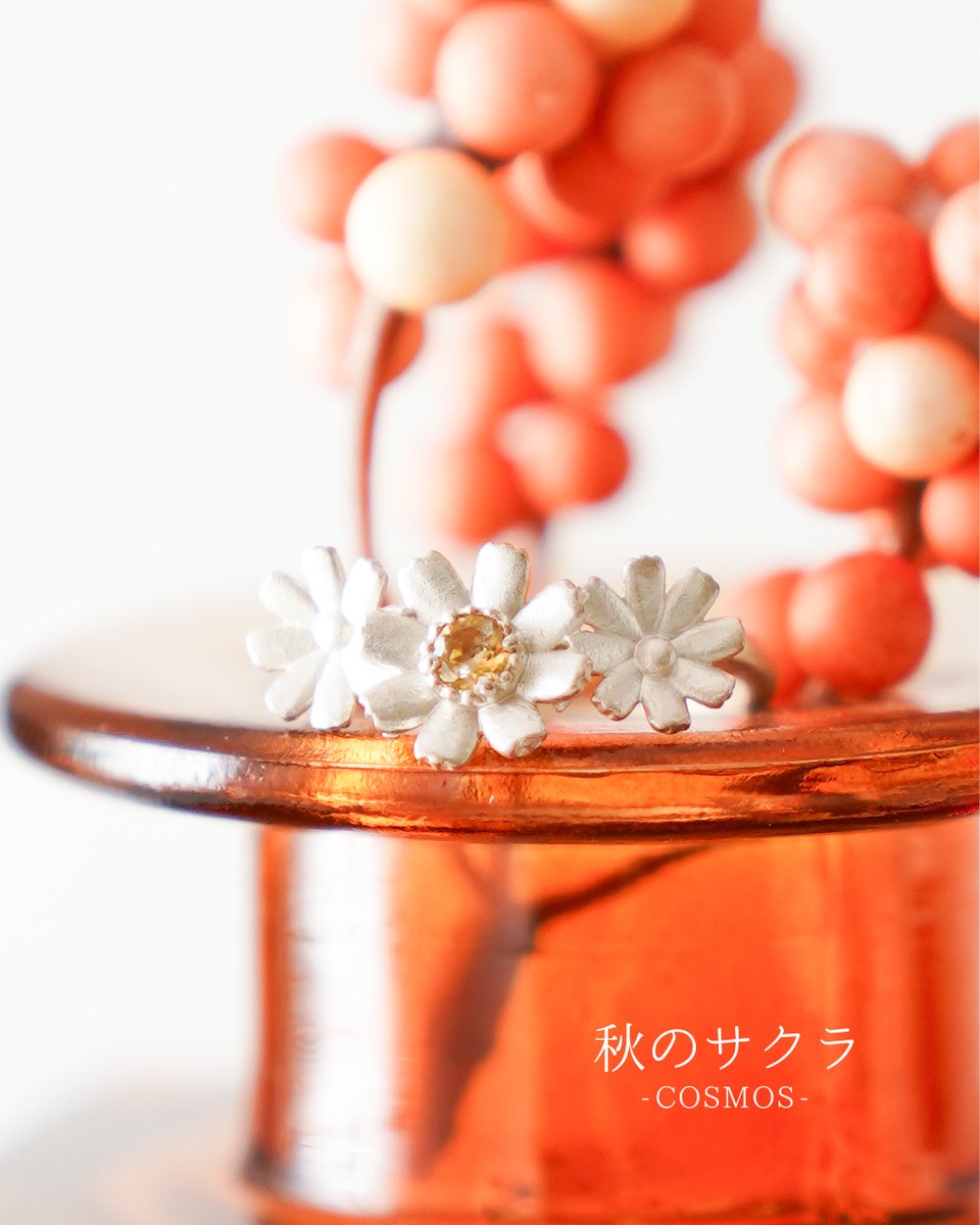 poonys_u's tweet photo. 涼しくなってきましたが、雨続きでなんだか憂鬱な気分にもなりますね。いい天気の秋晴れが待ち遠しいです。
https://t.co/WYBjzk0soy

#秋桜 #コスモス #シルバーリング #シトリン #天然石 https://t.co/wmei4bgUfv