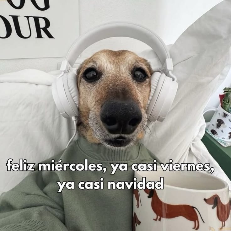 PerlaSalas833's tweet photo. https://t.co/Vxn4JUqN6E