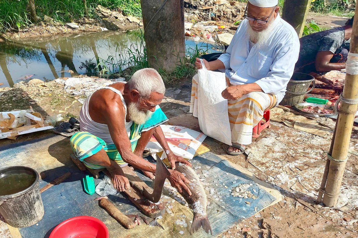 ProthomAlo's tweet photo. নবতিপর নিয়ামতের জীবনসংগ্রাম

বয়স ৯০ পেরিয়েছে। শরীরের শক্তি কমেছে, হাত কাঁপে। তবু থেমে নেই নিয়ামত মোল্লার জীবনসংগ্রাম। প্রতিদিন ভোরে বঁটি নিয়ে বাজারে বসেন মাছ কাটতে। একটি মাছ কেটে পান ২০ থেকে ৩০ টাকা। কখনো দিনে আয় হয় ২০০, কখনো ৩০০ টাকা। এই সামান্য আয়েই চলে স্ত্রীসহ তাঁর সংসার। ওষুধের ব্যয়ও মেটাতে হয় এখান থেকে। তাঁর প্রতিদিনের এই লড়াই বেঁচে থাকার এক নীরব গল্প। পাবনা সদরের মাসুম বাজার থেকে গত শুক্রবার তোলা ছবি।

https://t.co/0Ox78qK8yZ