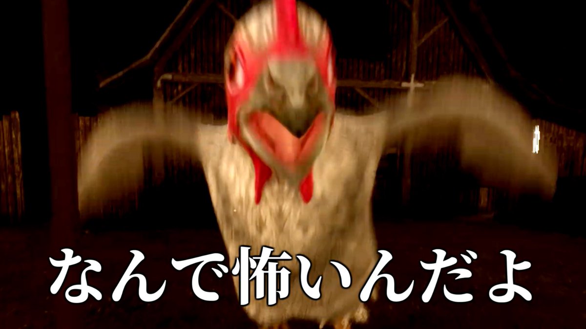 zonredoooooo's tweet photo. ｵｪｲｵｪｲなんでこんなにみられてねぇんだｧ！？
リベンジ頑張ったから見てくれよｫ！！！！！
(オラにインプレッション分けてくれ)

ニワトリが追いかけてくるホラゲーが案外怖い【Chicken Feet】
→https://t.co/2Avai4Q573 https://t.co/MG3922M822