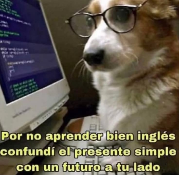 AlejandraN56289's tweet photo. https://t.co/7XcGR16zx3